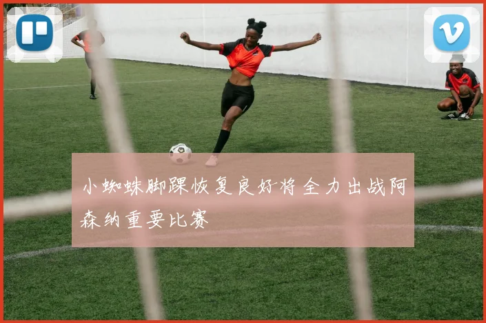 小蜘蛛脚踝恢复良好将全力出战阿森纳重要比赛