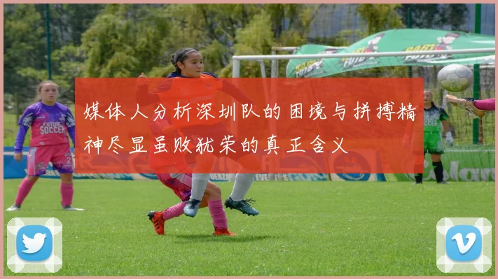 媒体人分析深圳队的困境与拼搏精神尽显虽败犹荣的真正含义
